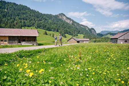 Wandern in Schönenbach