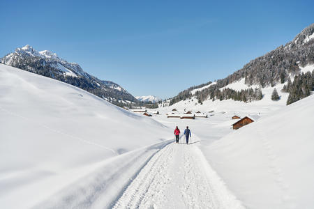 Winterwandern in Schönenbach