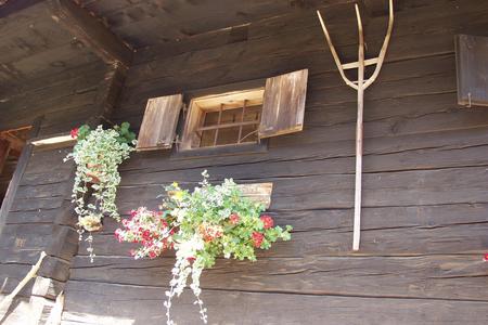 Bärentalhütte Hauswand
